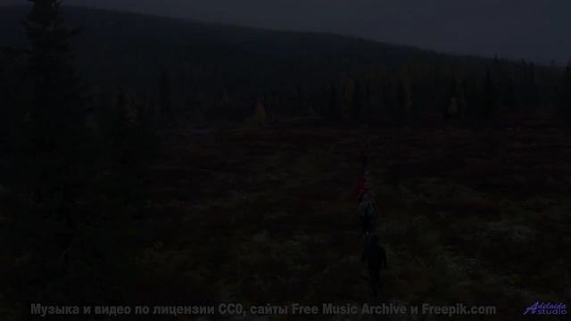 Эта мелодия - как мост между двумя душами... - Is It Nice To Meet Her -- Omura -- The Whales Bay