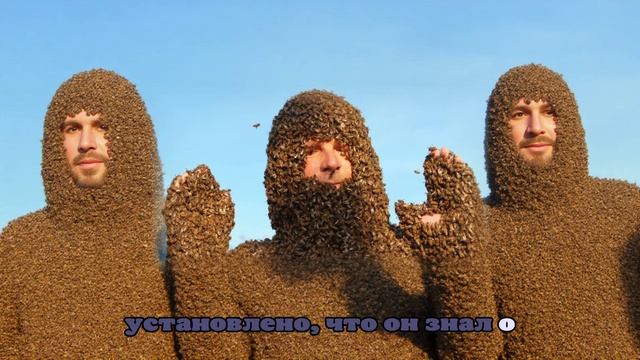 В Испании дорожных полицейских атаковали пчелы