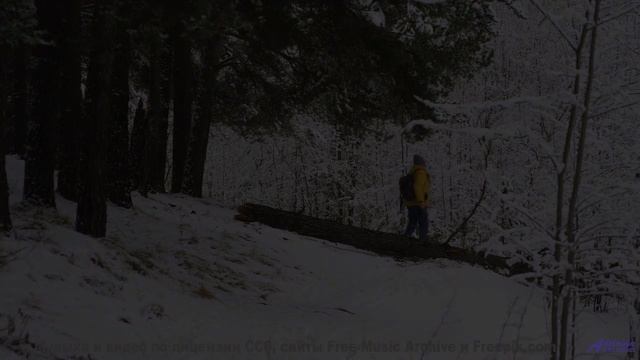 Музыка звучит так, что хочется раствориться в природе - she is a system of repetitions -- los piloto