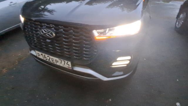 х сайт залипание левого поротника