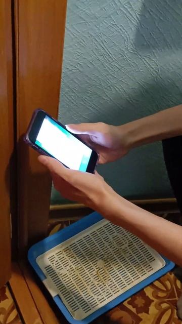 Когда у твоей бабушки Айфон 15  #youtubeshorts #жиза #persian #база #приколы #iphone
