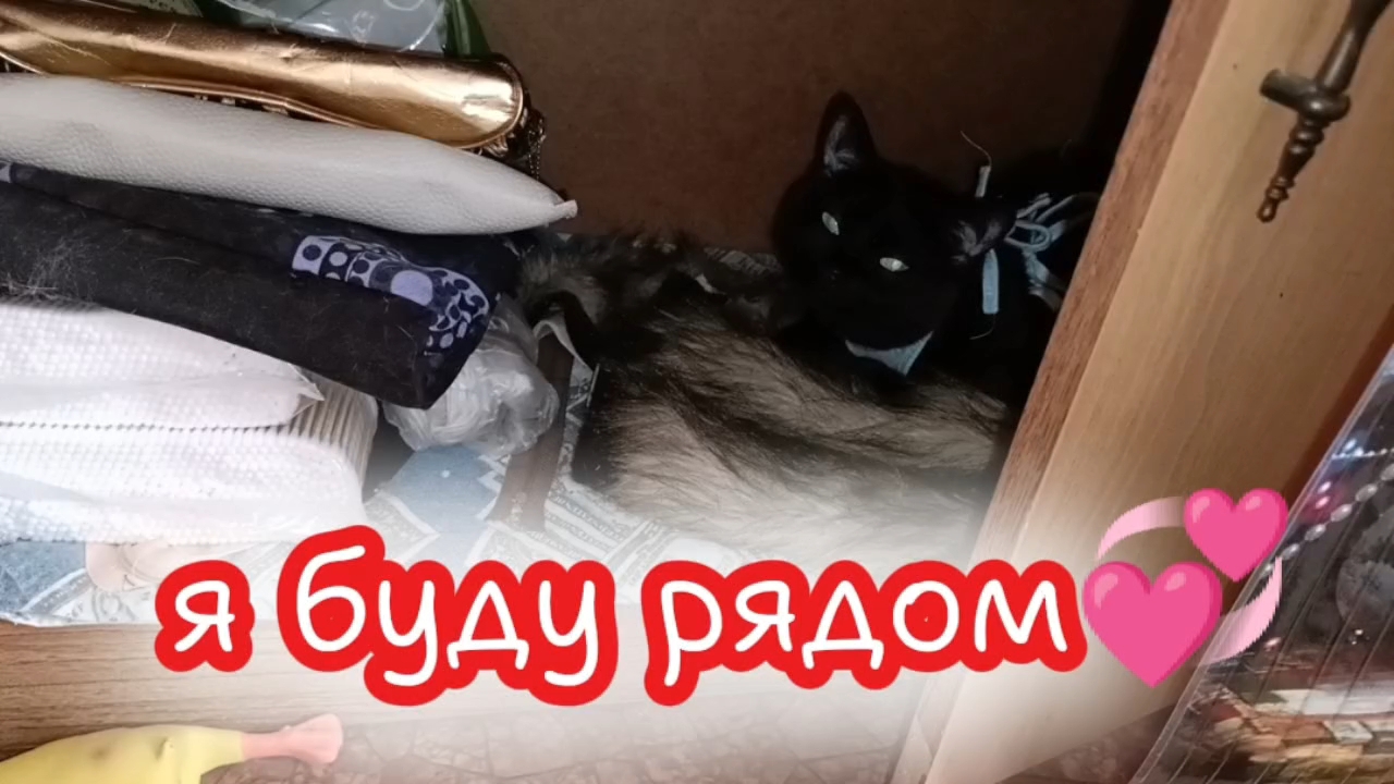 Я буду рядом💞