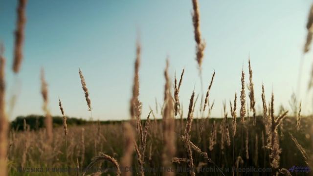 Эта композиция написана нулевой точкой вакуума - услышьте квантовый шум! - Gentle Machine -- Chad Cr