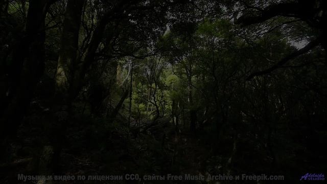 Пейзажи зажигаются в такт каждой новой мелодии - Burnt Utopia -- Blue Sky Moon -- Prophet and Loss