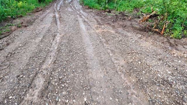 Поездка в Знаменское родовую усадьбу Тютчевых. С капитаном Пилигрима Сергеем Синельником.