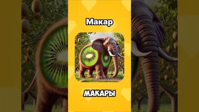 Кто Ты По Имени Из Итальянских Животных Виталика Будет Жалко(