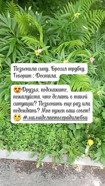 1000190037.mp4
машина
