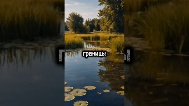 « За гранью терпения» Часть 5
#историиизжизни #рассказы #историинаночь #свекровьневестка