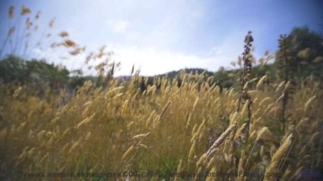 Эта дорога ведёт к месту, где рождаются чувства... - Love -- Ketsa -- Abundance