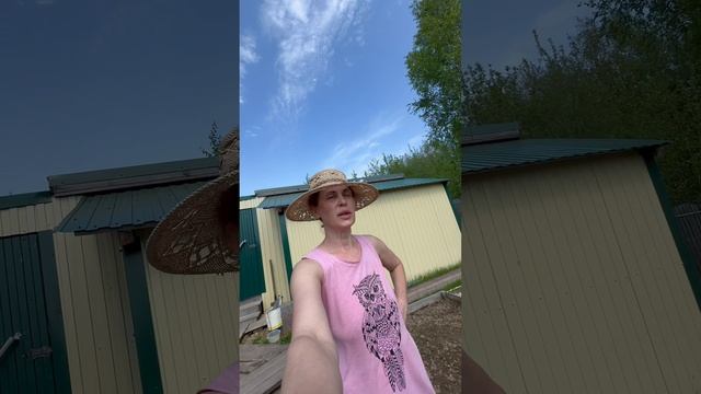 Поэтапная посадка помидор 🍅 в высокие уличные грядки.