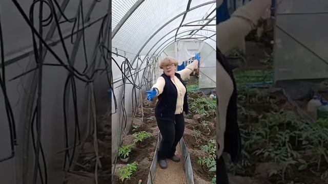 Мне всегда 17