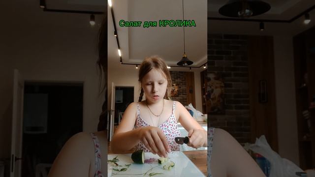 Как готовить салат для кролика