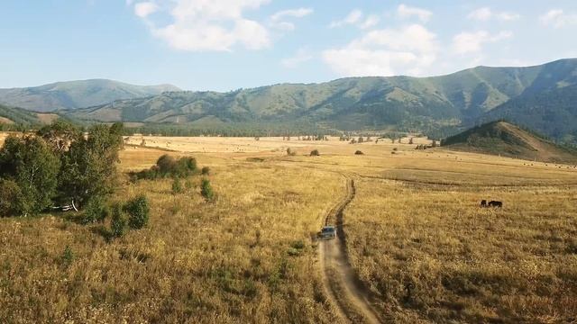 Как пахнет Родина