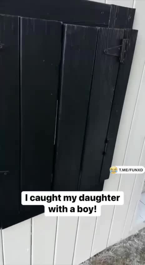 Застукали😆