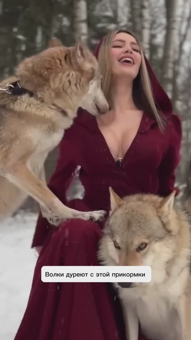 Wolf