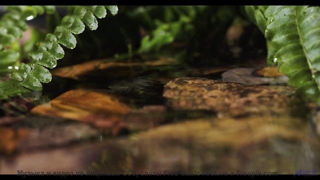 Кадры природы, которые изменят ваше мировоззрение! - Life-Of-An-Empath -- Ketsa -- As Above So Below