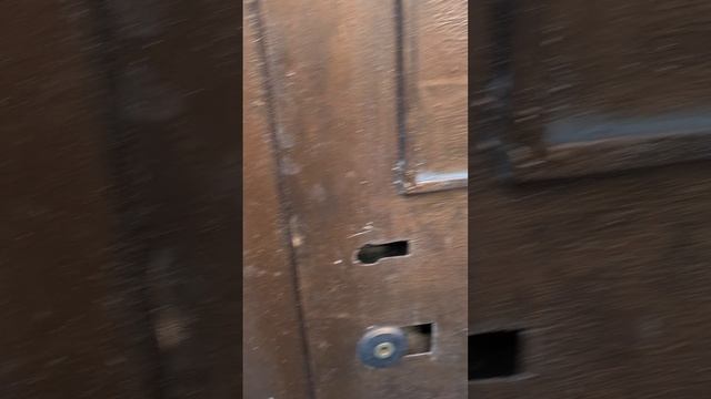 1000064646.mp4
