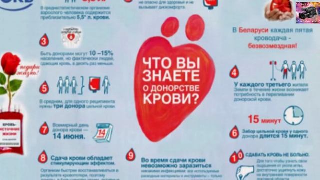 Всемирный день донора крови