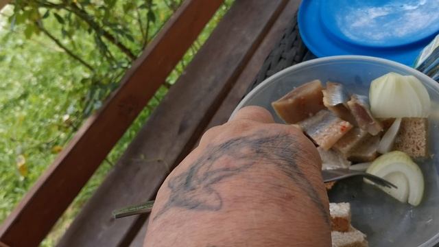 СОЧИ ГОРНОЕ ЛОО УТРО 14.06.2025