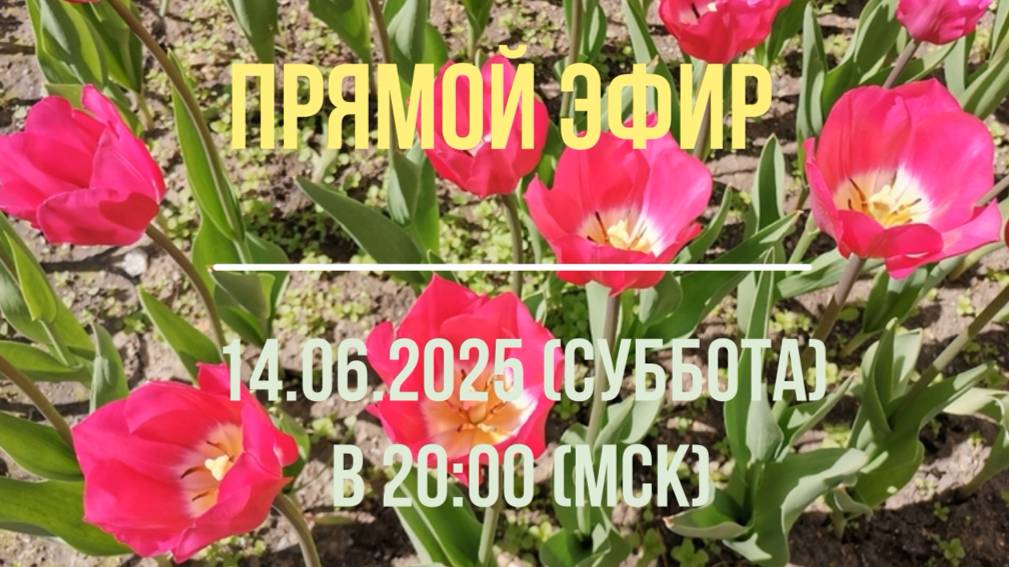 Анонс эфира 14.06.2025