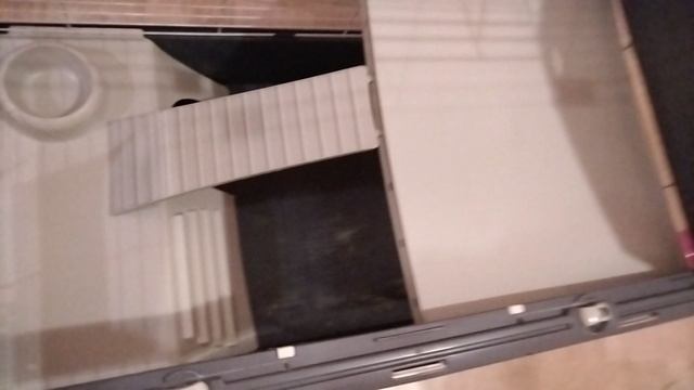 VID_20250614_225519.mp4