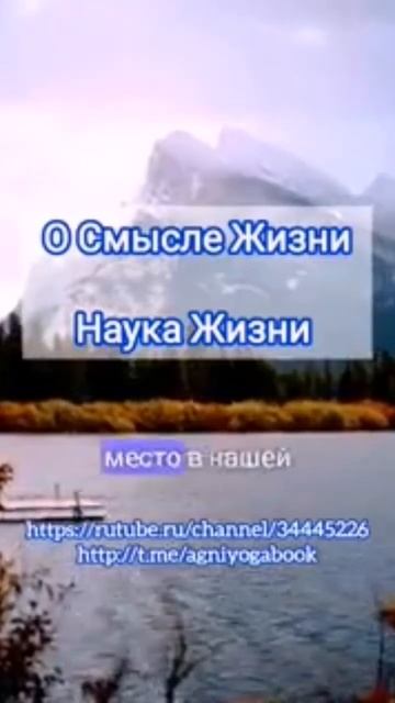 О смысле жизни