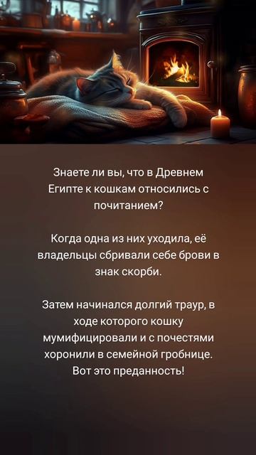 Кошки в Древнем Египте: культ и почитание 🐱💔🌿