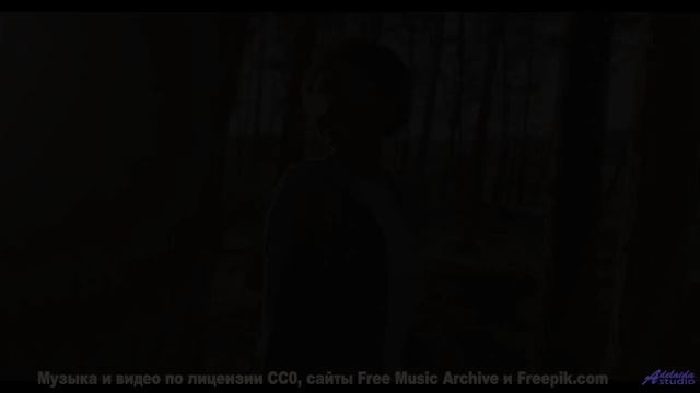 Сердце рвётся наружу, когда ритм совпадает с кадрами - Asalom Shalom -- Ayla Nereo -- Beheld