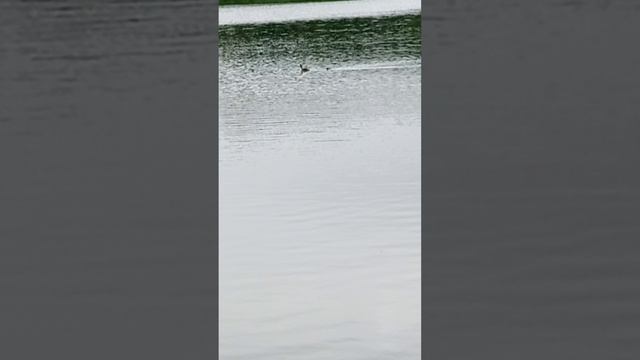 1000020095.mp4