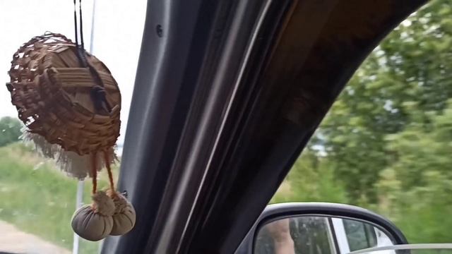 Парк озера Плещеево, Переславль Залесский, июнь 2025