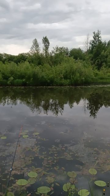 рыбалка