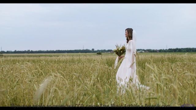 Грозовые тучи и жёсткий дроп! - If-You-re-Wondering -- Ketsa -- The New World
