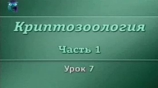 Криптозоология # 1.7. Гигантский морской спрут