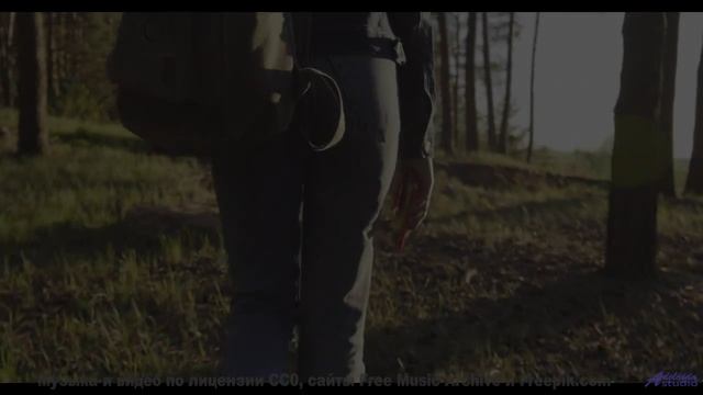 Леса шепчут мелодию прямо в душу зрителя - Static -- HoliznaCC0 -- Lo-fi And Chill