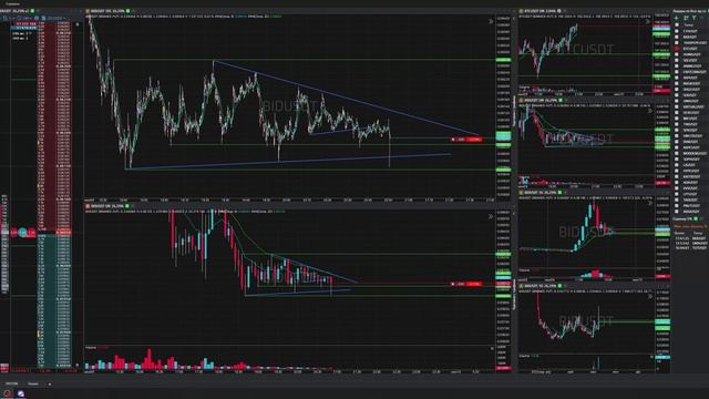 79-Bidusdt-Short-Stoploss-09-06-2025-20-50-48