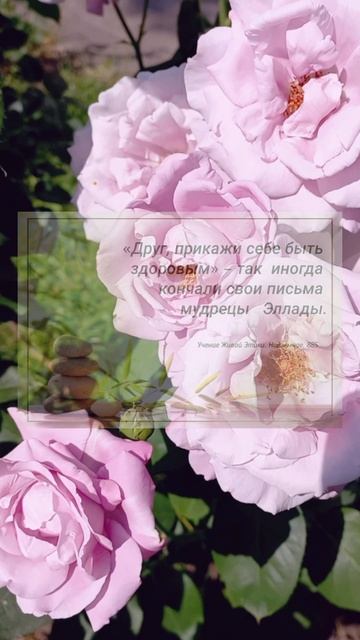 Здоровье