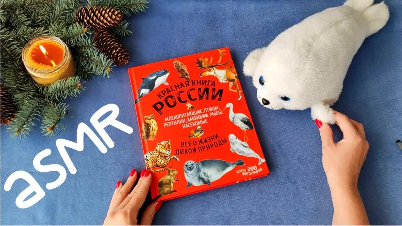 Занимательный АСМР: Красная книга России для детей. Близкий шепот. ASMR