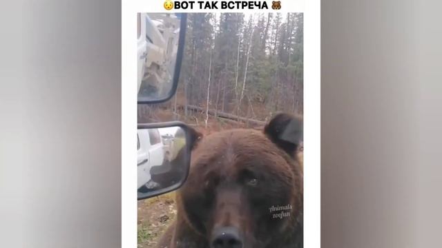 Мега приколы 16