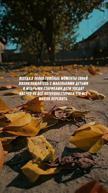 #872 Цитата дня. Мотивация.