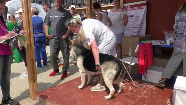 Кристальная Мечта Мира