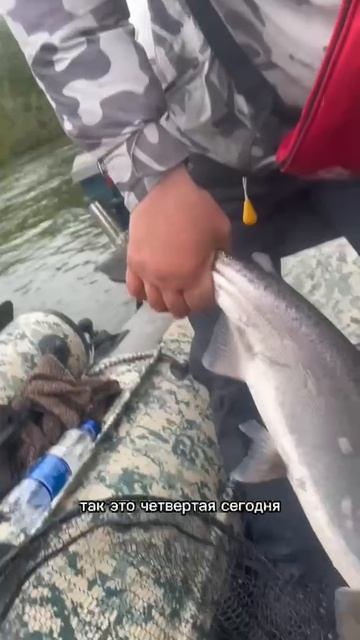 ДЕТСКИЙ САД НА КРЮЧКЕ! КАМЧАТКА УДИВЛЯЕТ 😱🎣🐟
