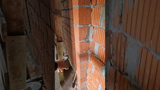 Ох строика с уме свяла