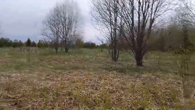 oxota.prof Звериной тропой.