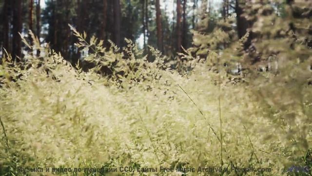 Музыка обнимает крепче любого человека на планете - Laughter -- Ketsa -- Light Rising