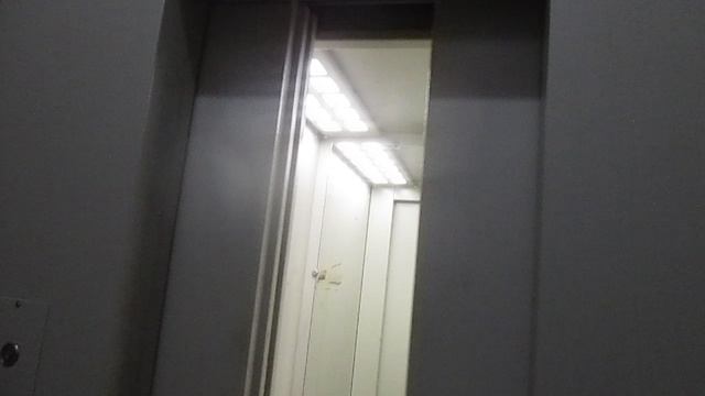Музыкальный лифт Ecomaks-(ЩЛЗ) под. №5 @ г. Москва, ул. Зорге, д. 14к2-5 (2426)