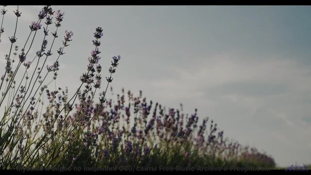 Взгляд прилипает к экрану, пока играет такая композиция - Think BIG -- Scott Holmes Music -- Corpora