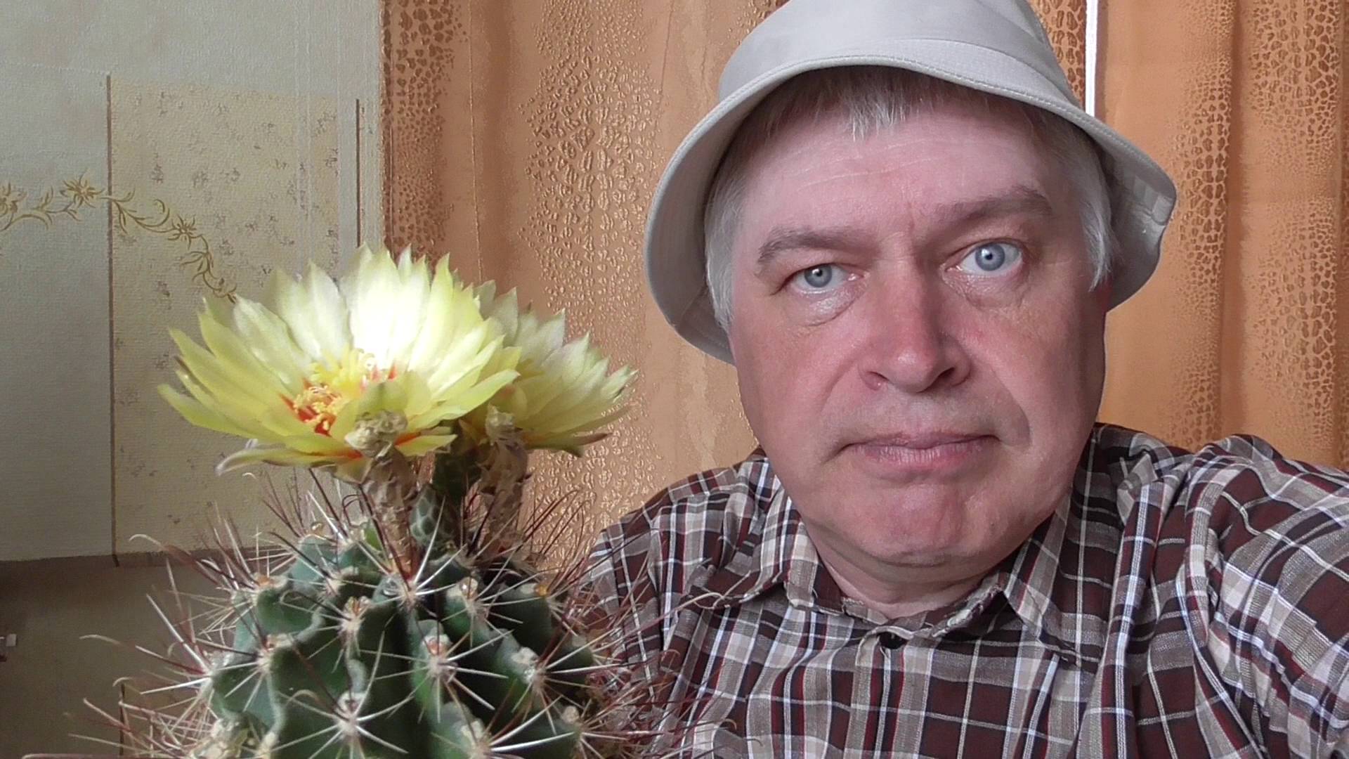 В этот день цветёт новый кактус. Жёлтые цветы