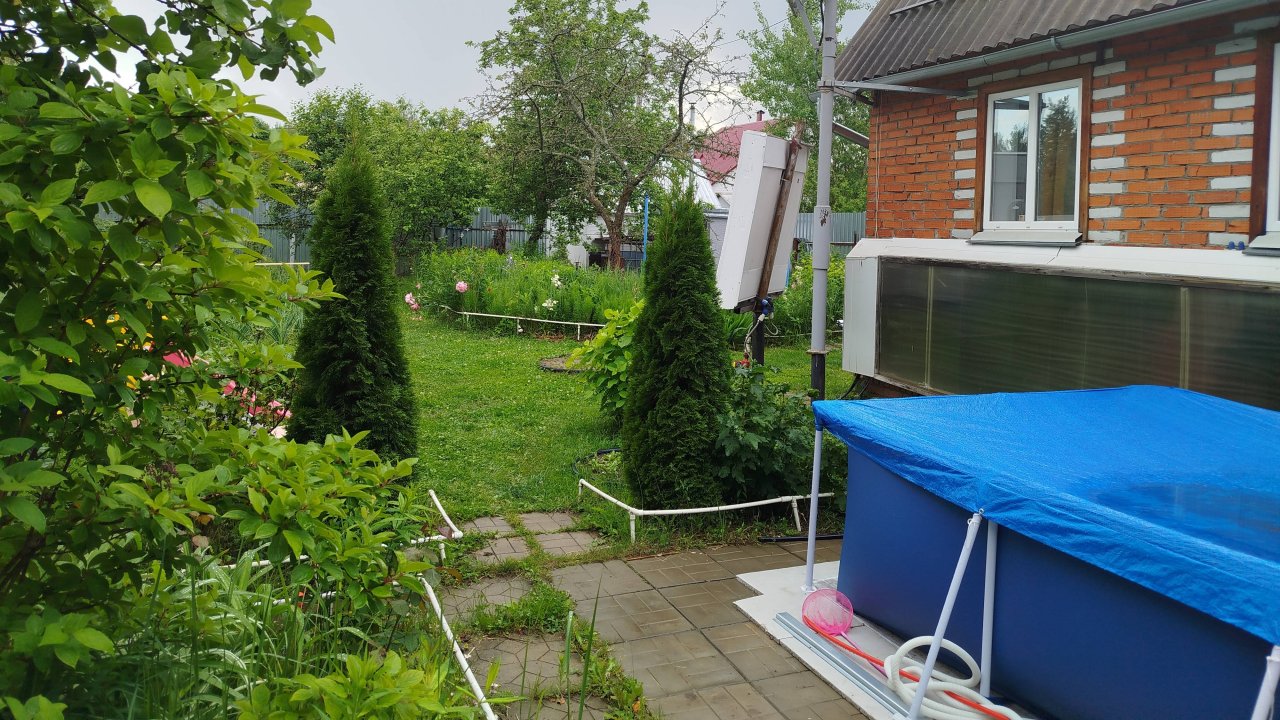 Мои трясогуски