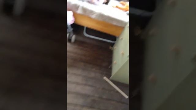 влог с реборном Амалией 🐣ЛЕТИМ В ДУБАЙ?
ТУР ПО ГОРОДАМ!
гроза🌩️⛈️
(РОФЛ)
