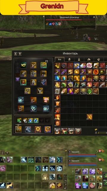 Свержении,Не видно цветов при посадке??Почему?? Lineage 2 Main
